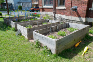 Sign up for free gardening program through Jan. 31